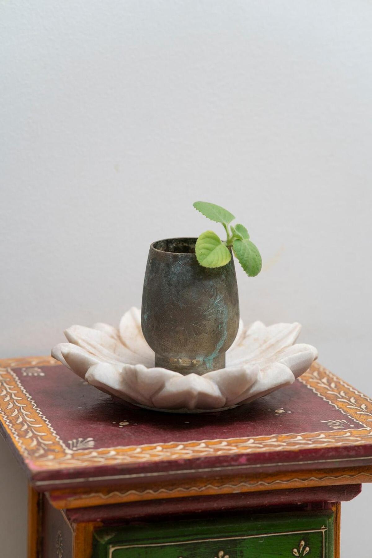 Santosh Villa - The House Of Antiques And Art Udaipur Extérieur photo